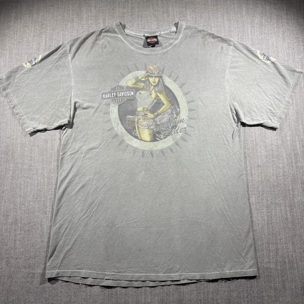 Vintage Harley-Davidson Shirt Mens XL Gray Pinup Corpus Christi Texas Biker 00s